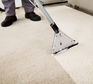 11 Reasons Why You Should Use A Professional Carpet Cleaner for Carpet Cleaning Ipswich