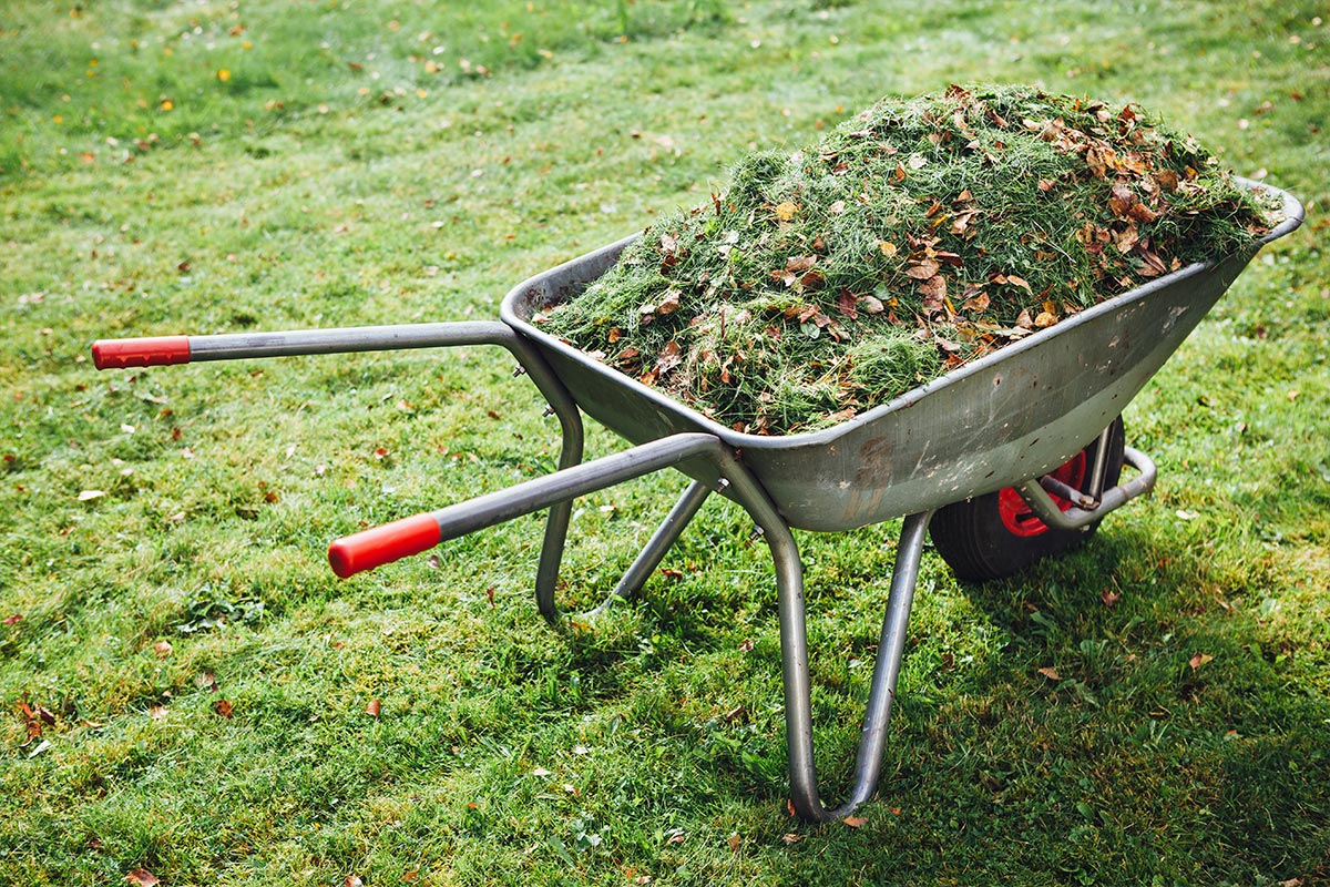 What To Do With Yard Waste