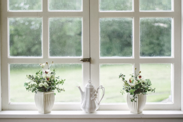 Which Type of Windows Will Look Best for Your Home?